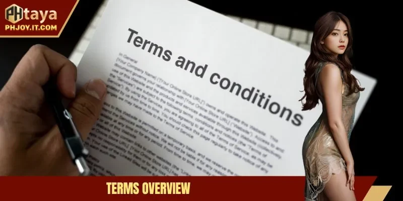 Terms overview